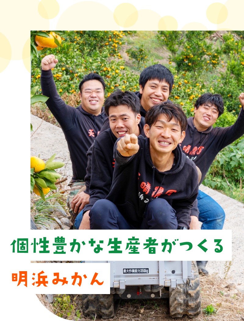 個性豊かな生産者がつくる明浜みかん