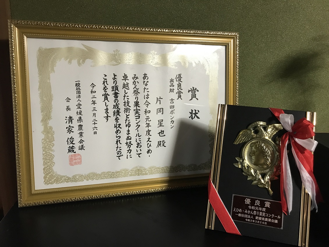 令和元年度のえひめみかん祭り果実コンクールで優良賞を受賞！